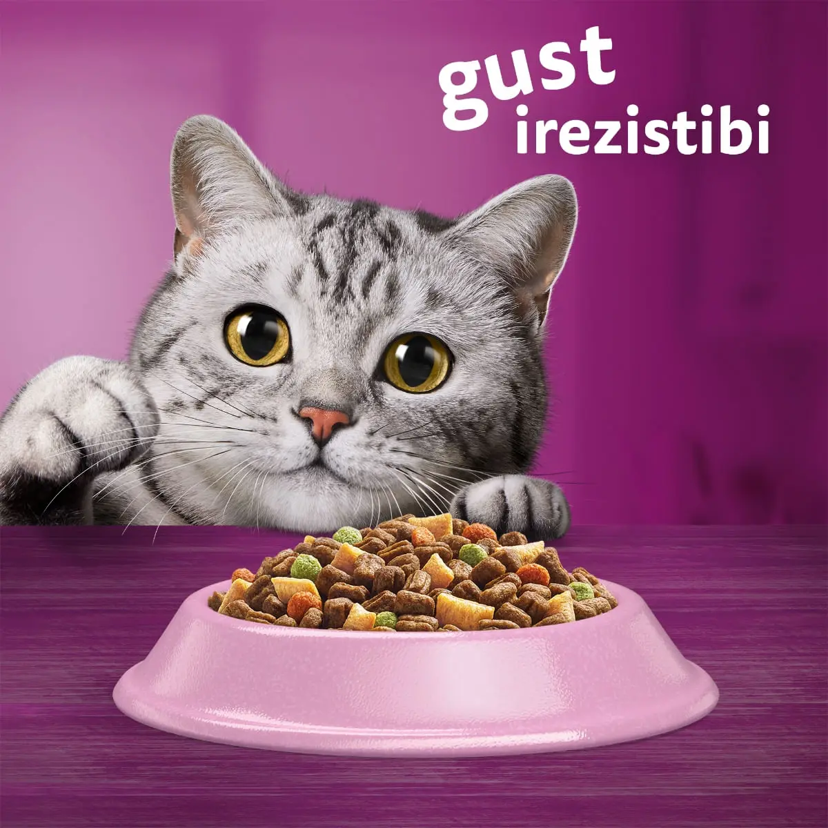 WHISKAS Adult, Somon, hrana uscata pisici, 1.4kg - Image 5