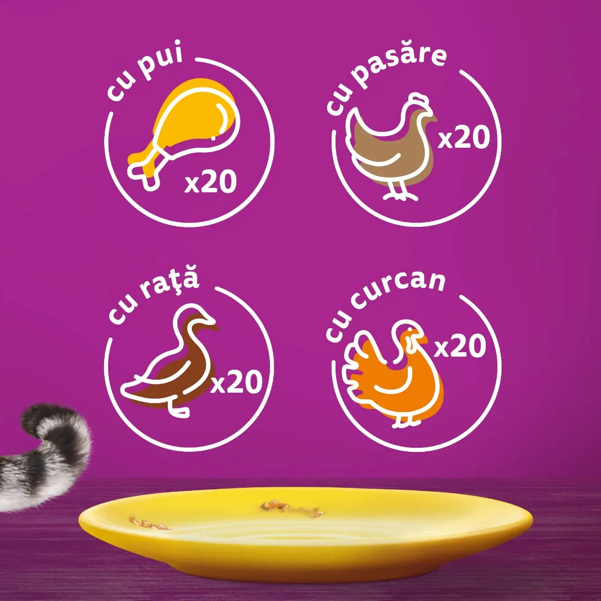 WHISKAS 1+ Poultry Feasts, Pasare, plic hrana umeda pisici, (in aspic) WHISKAS 1+ Poultry Feasts Selectii, Pasare, plic hrana umeda pisici, (in aspic), multipack, 85g x 80 - Image 7