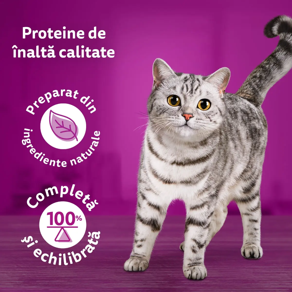 WHISKAS Pure Delight Mixed Selection, Vita, Pui, Somon si Ton, plic hrana umeda pisici, (in aspic), multipack, 85g x 12 - Image 5