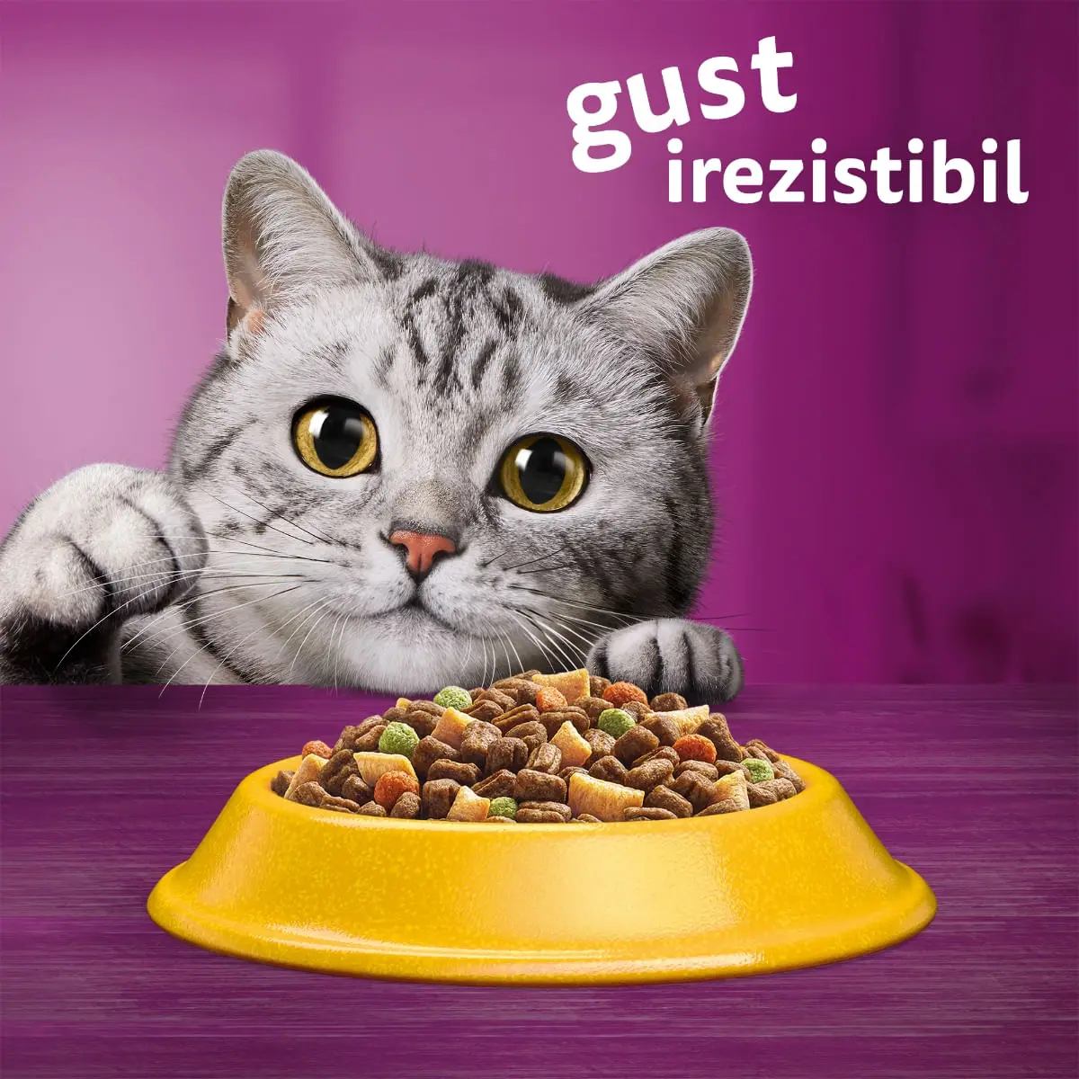 WHISKAS Adult Sterile, Pui, hrana uscata pisici, 800g - Image 7