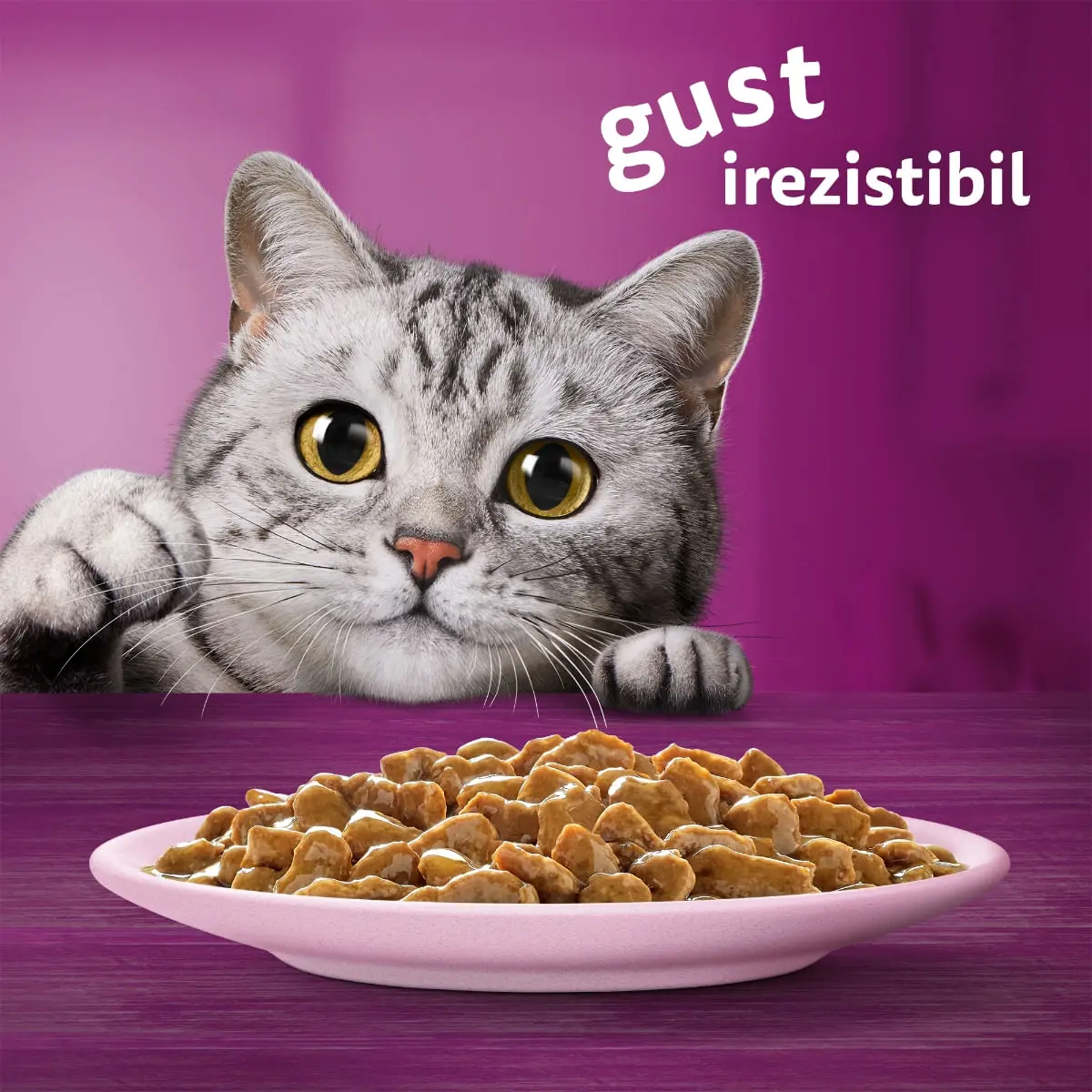 WHISKAS, Somon, plic hrana umeda pisici, (in sos), 85g - Image 7
