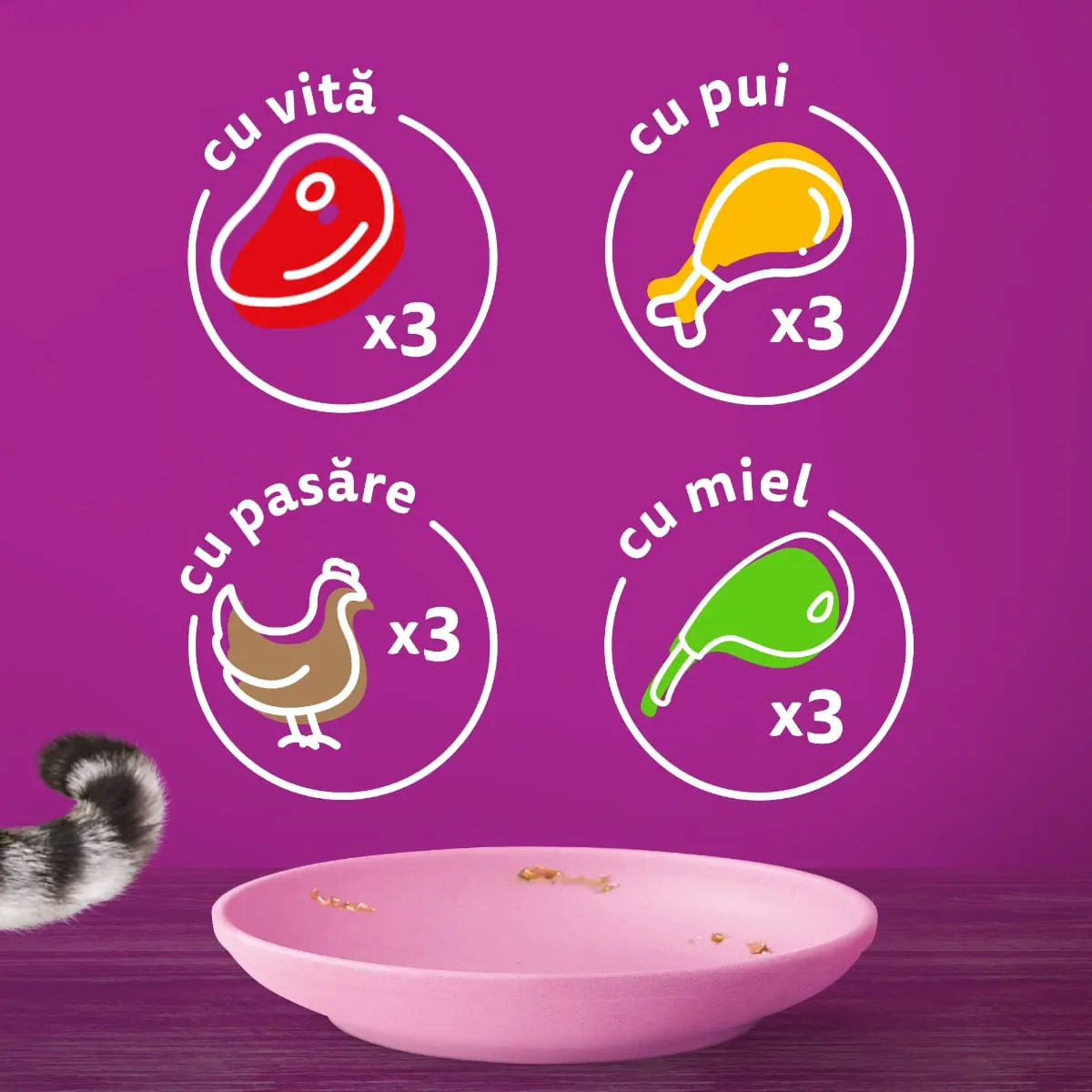 WHISKAS Junior Selectii Clasice, Miel, Vita, Pui si Pasare, plic hrana umeda pisici, (in sos), multipack, 85g x 12 - Image 5