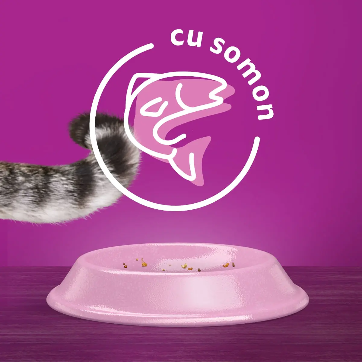 WHISKAS Adult, Somon, hrana uscata pisici, 1.4kg - Image 8