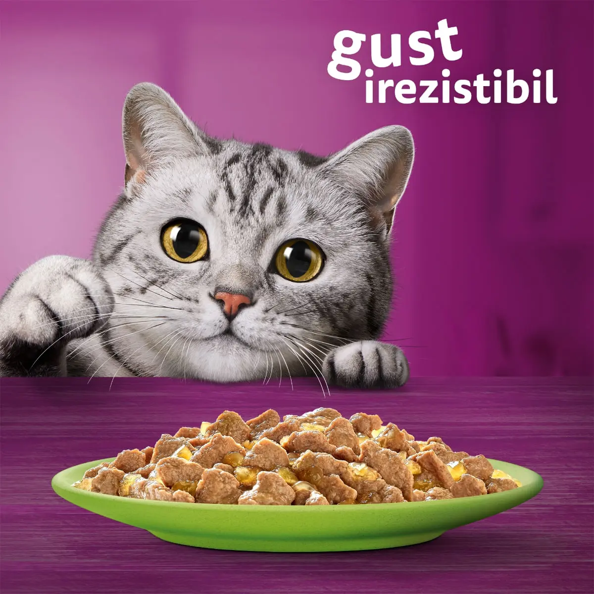 WHISKAS Selectii Mixte, Vita, Pui, Somon si Ton, hrana umeda pisici, (in aspic), multipack WHISKAS Selectii Mixte, Vita, Pui, Somon si Ton, plic hrana umeda pisici, (in aspic), multipack, 85g x 40 - Image 9