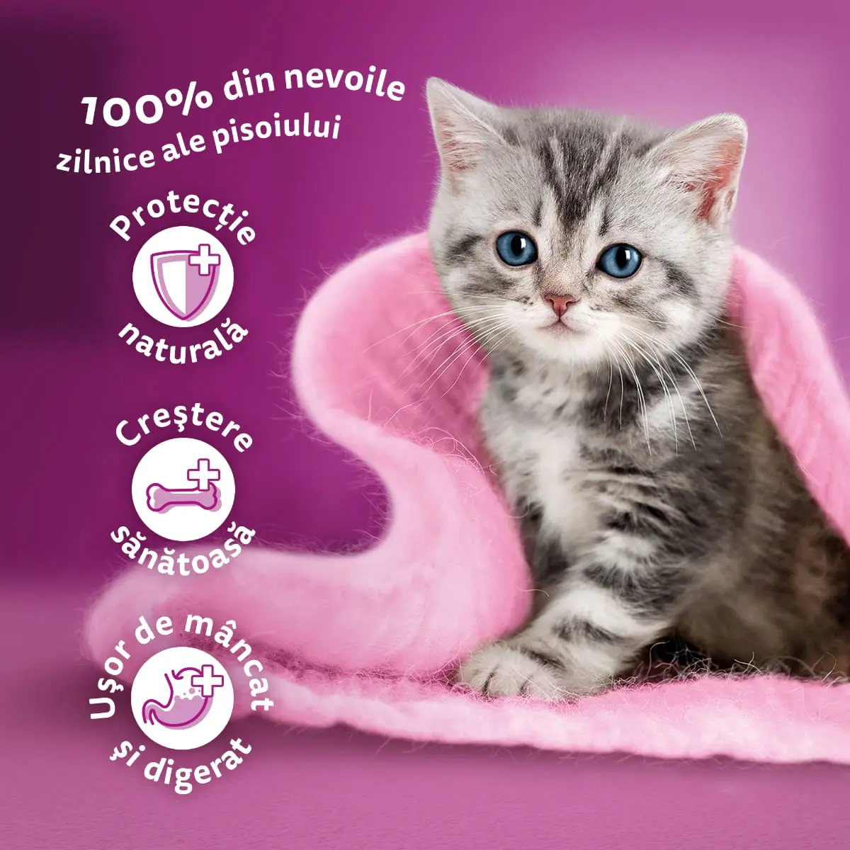 WHISKAS Junior Selectii Clasice, Miel, Vita, Pui si Pasare, plic hrana umeda pisici, (in sos), multipack, 85g x 12 - Image 7