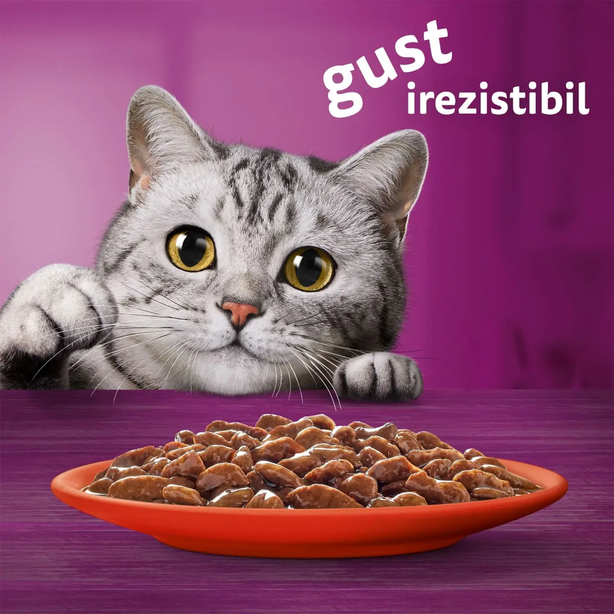 WHISKAS, Vita, plic hrana umeda pisici, (in sos), 85g - Image 9
