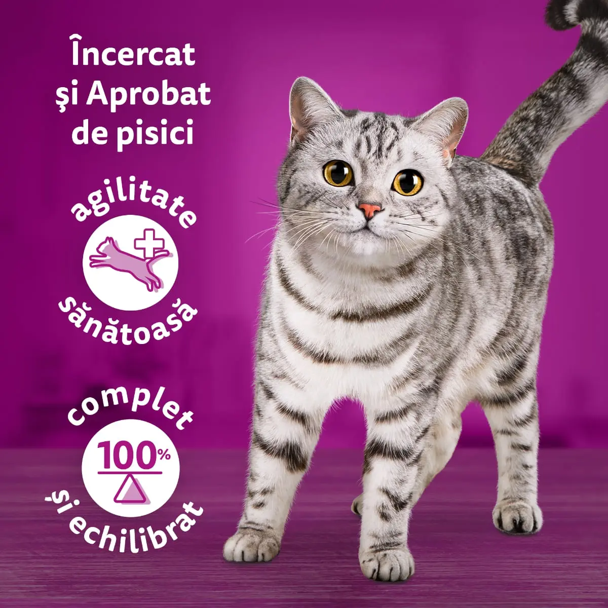 WHISKAS Tasty Mix Creamy Creations, Pui si Legume, Miel si Curcan, plic hrana umeda pisici, (in sos), multipack, 85g x 12 - Image 10