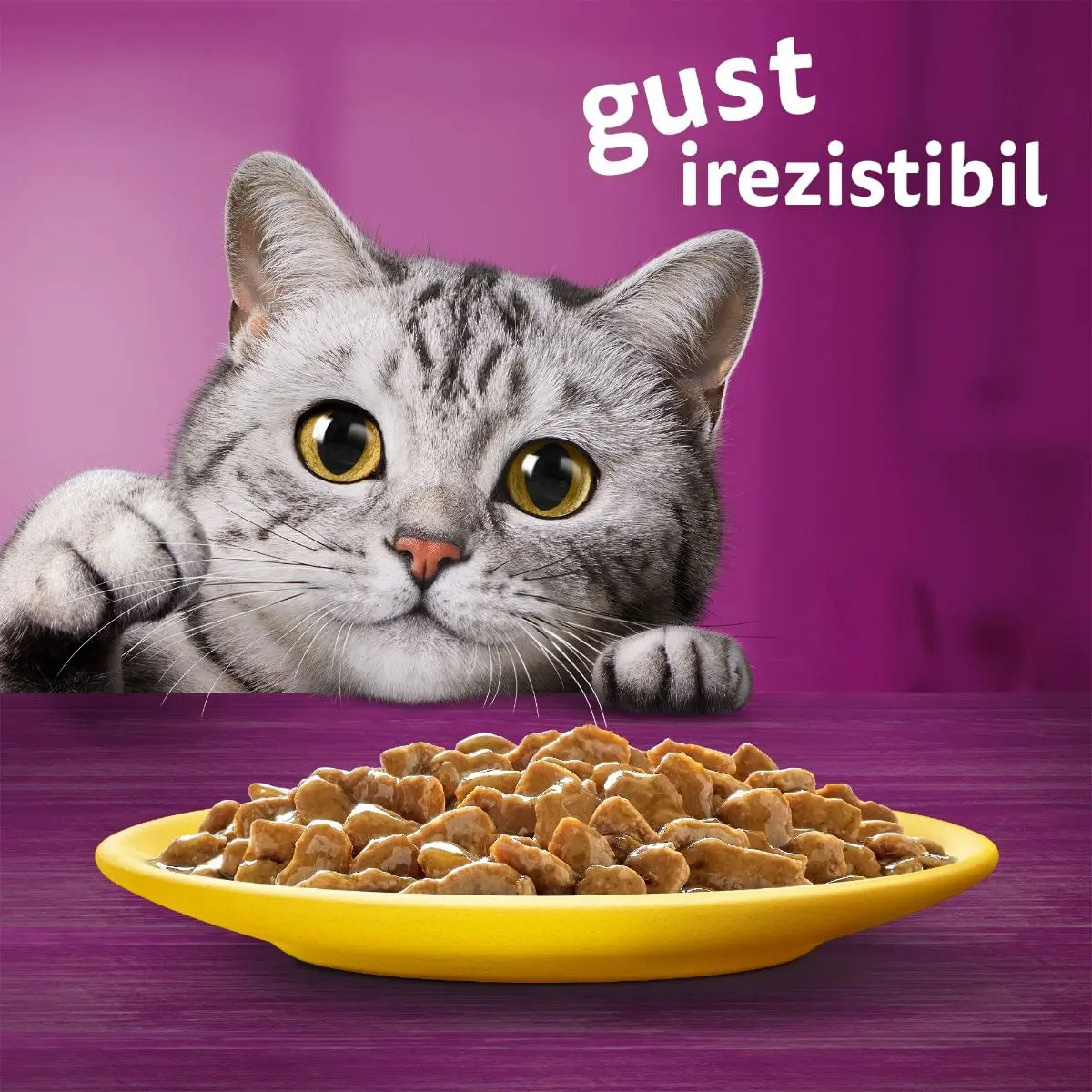 WHISKAS Selectii, Pasare, plic hrana umeda pisici, (in sos), multipack, 85g x 12 - Image 6