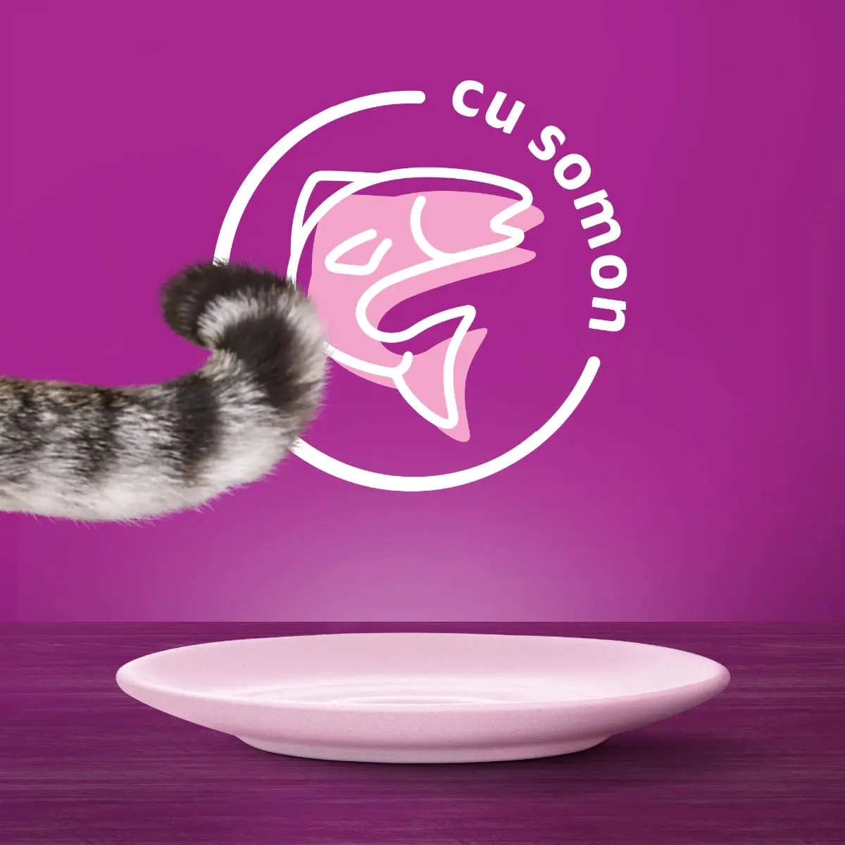 WHISKAS, Somon, plic hrana umeda pisici, (in sos), 85g - Image 9