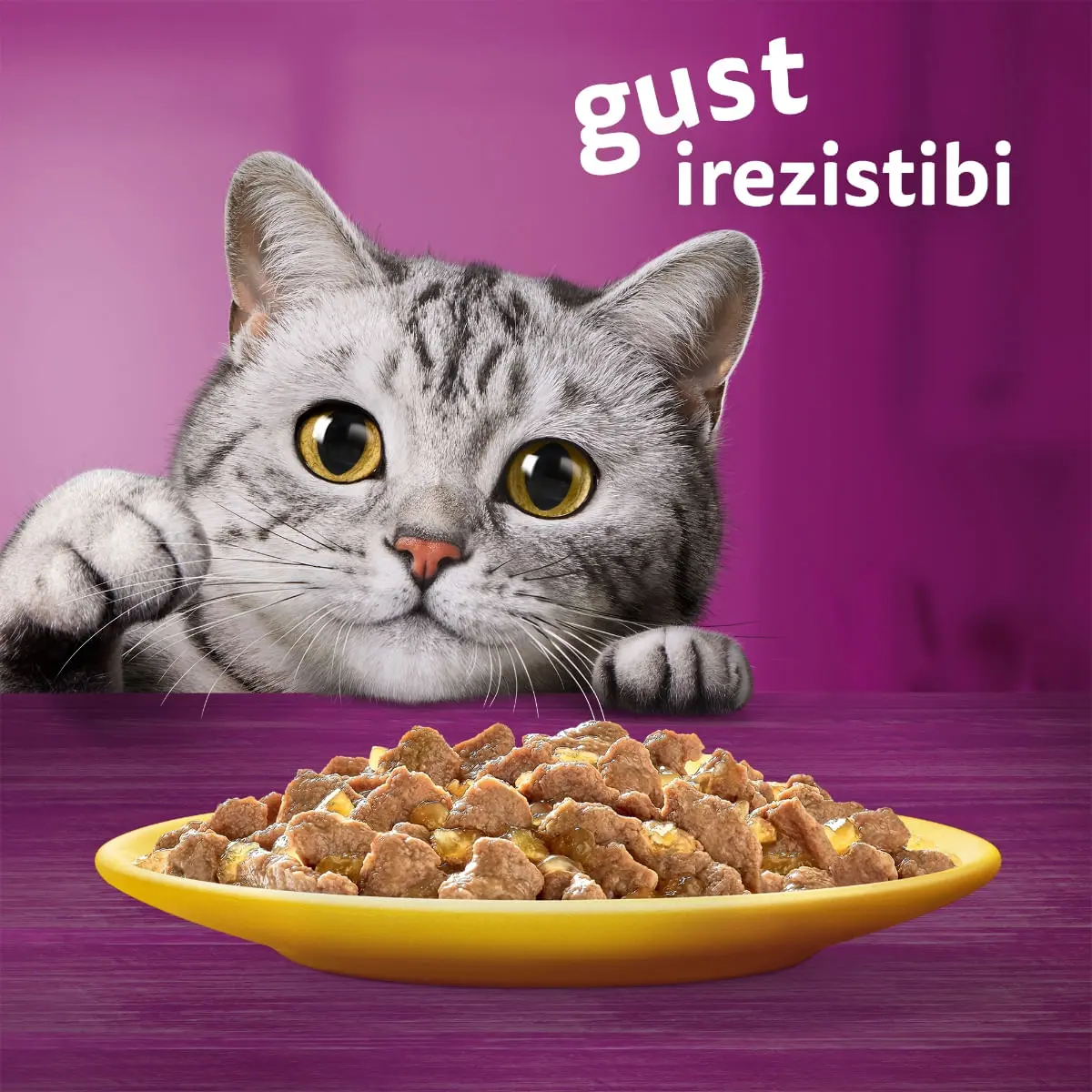 WHISKAS 1+ Poultry Feasts, Pasare, plic hrana umeda pisici, (in aspic) WHISKAS 1+ Poultry Feasts Selectii, Pasare, plic hrana umeda pisici, (in aspic), multipack, 85g x 12 - Image 10