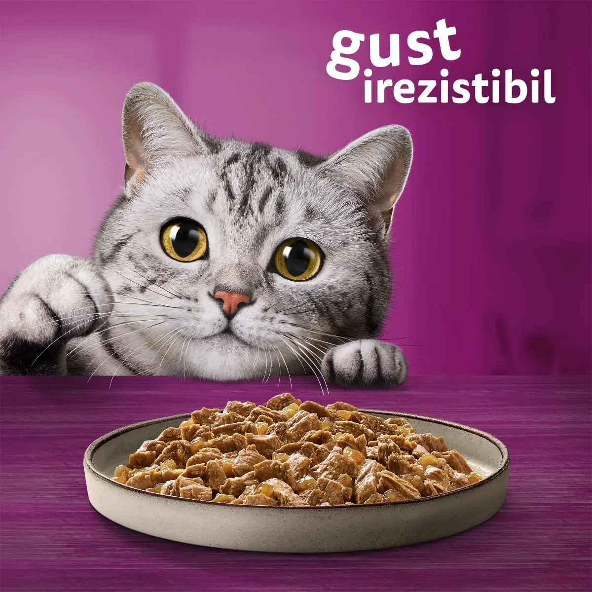 WHISKAS Pure Delight, Pasare, plic hrana umeda pisici, (in aspic), multipack, 85g x 12 - Image 10
