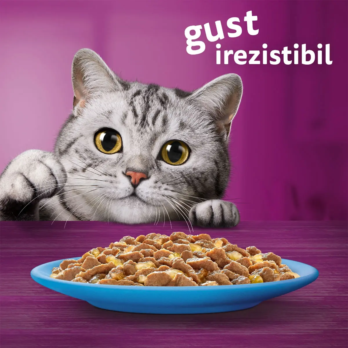 WHISKAS Selectii, Peste, plic hrana umeda pisici, (in aspic), multipack, 85g x 12 - Image 15