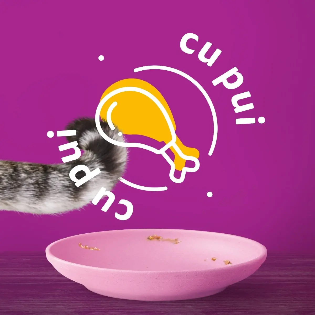 WHISKAS Junior, Pui, plic hrana umeda pisici junior, (in aspic), 85g - Image 3