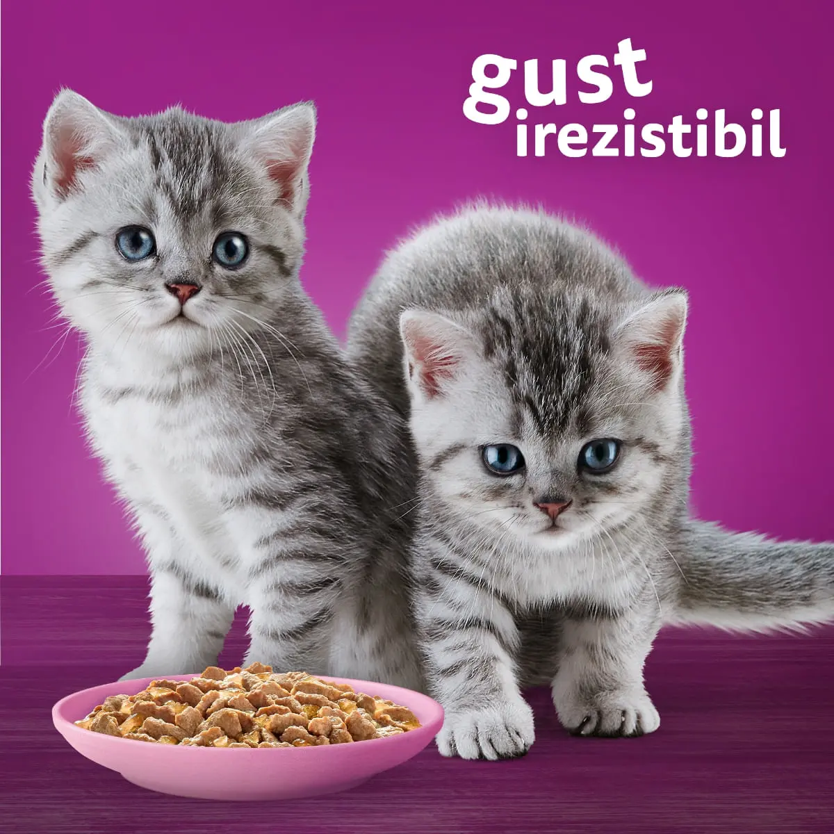 WHISKAS Junior, Pui, plic hrana umeda pisici junior, (in aspic), 85g - Image 4
