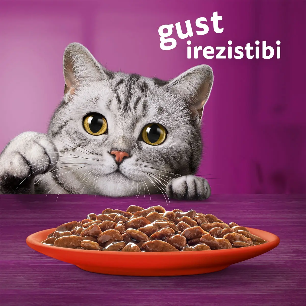 WHISKAS Selectii Clasice, Miel, Vita, Pui si Pasare, hrana umeda pisici, (in sos), multipack WHISKAS Selectii Clasice, Miel, Vita, Pui si Pasare, plic hrana umeda pisici, (in sos), multipack, 85g x 80 - Image 8