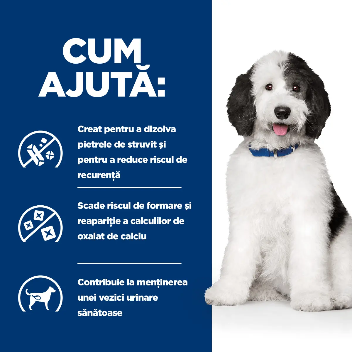 HILL'S Prescription Diet c/d, Pui, dieta veterinara caini, conserva hrana umeda, sistem urinar, 370g - Image 5