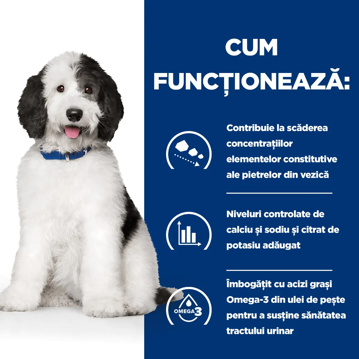 HILL'S Prescription Diet c/d, Pui, dieta veterinara caini, conserva hrana umeda, sistem urinar, 370g - Image 8