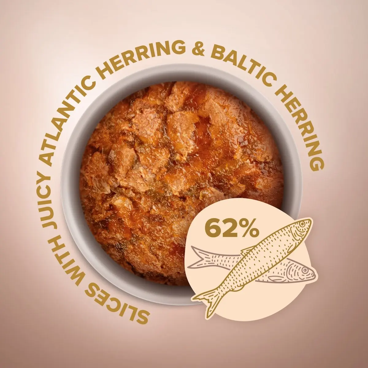 CLUB 4 PAWS Premium Plus Selection, Hering, plic hrana umeda pisici, (in aspic), 80g - Image 4