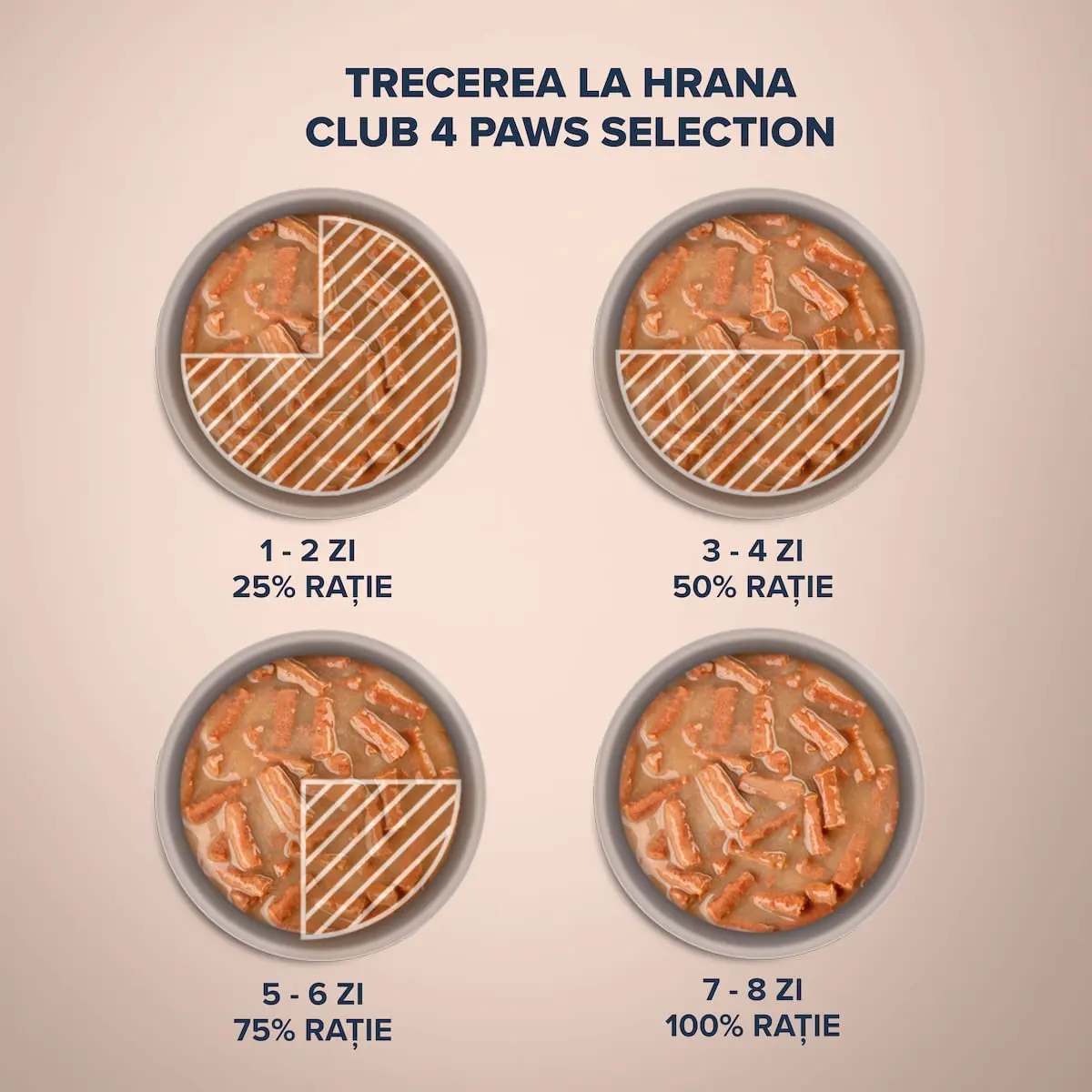 CLUB 4 PAWS Premium Selection Stripsuri, Curcan si Morcov, plic hrana umeda pisici, (in supa), 85g - Image 6