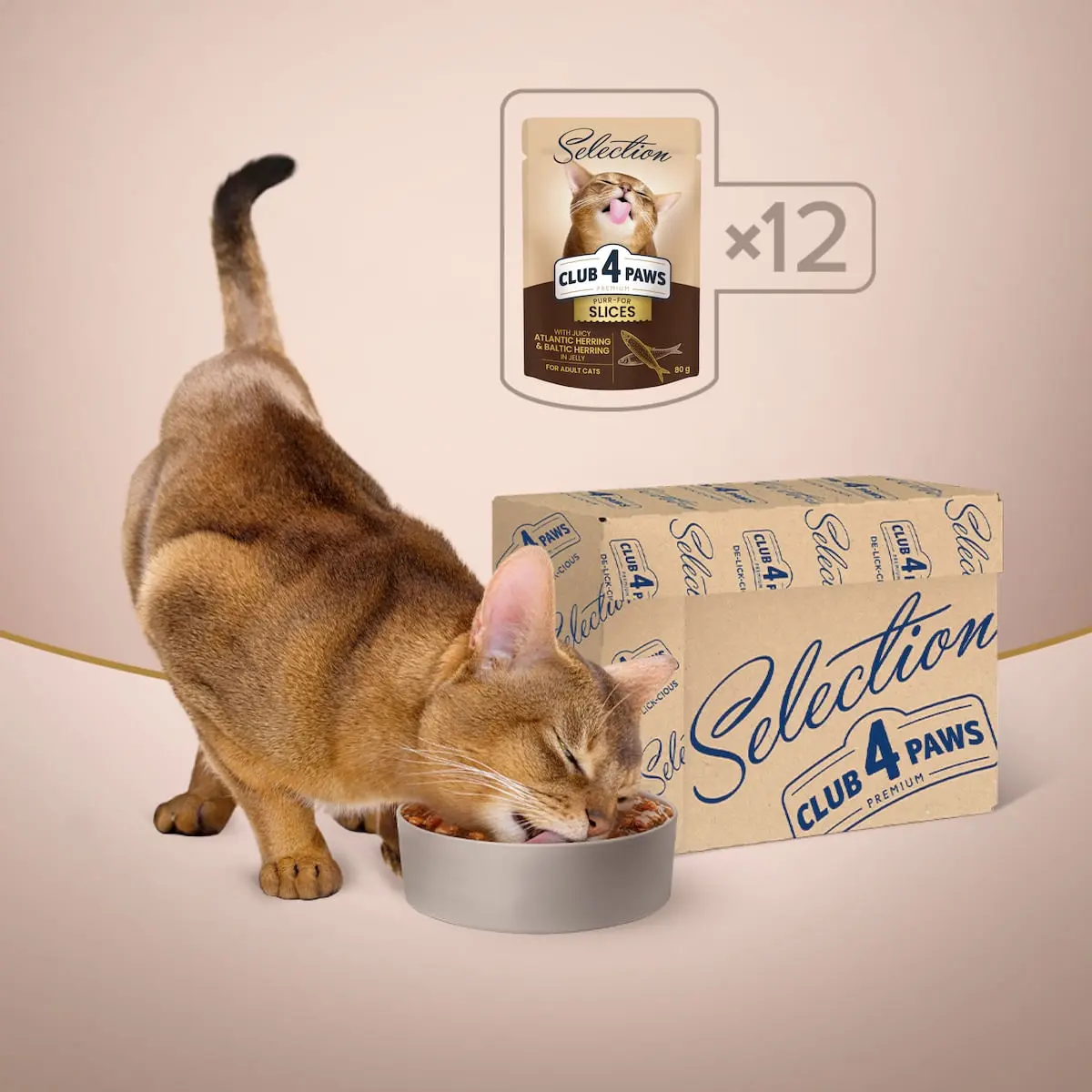 CLUB 4 PAWS Premium Plus Selection, Hering, plic hrana umeda pisici, (in aspic), 80g - Image 6