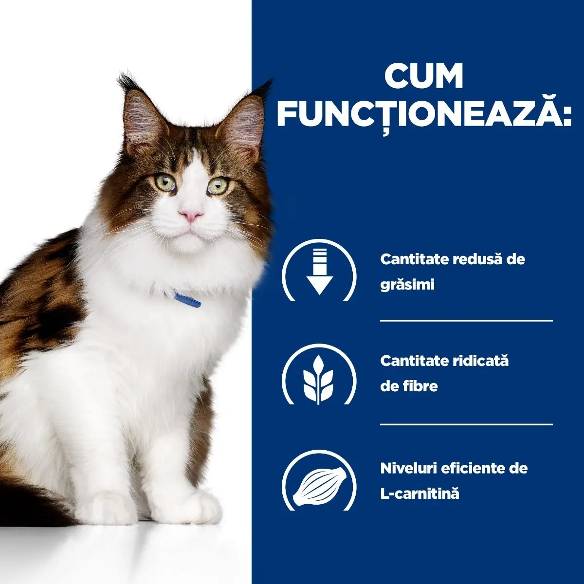 HILL'S Prescription Diet w/d Multi-Benefit, Pui, dieta veterinara, plic hrana umeda pisici, obezitate & diabet, bax, 85g x 12buc - Image 3