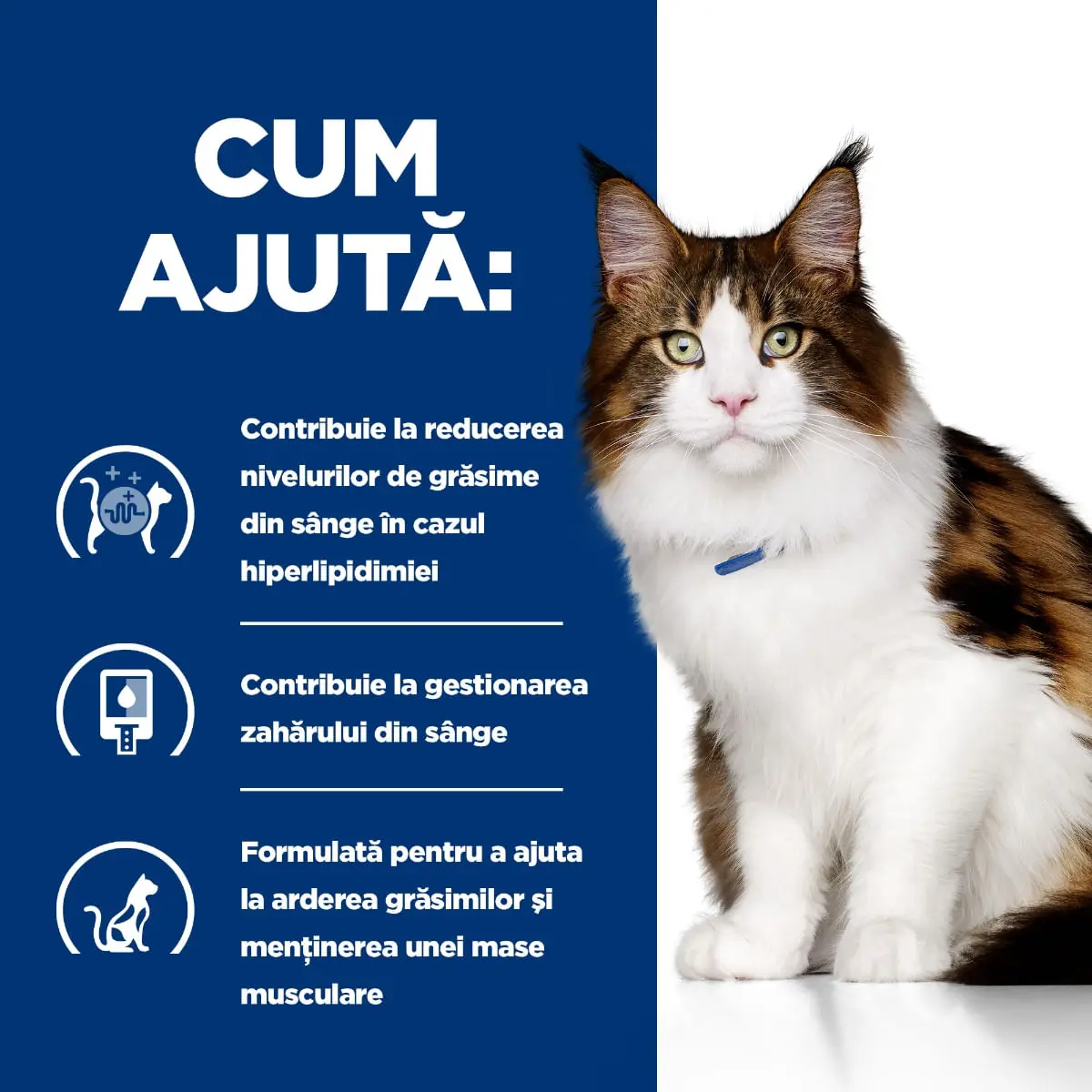 HILL'S Prescription Diet w/d Multi-Benefit, Pui, dieta veterinara, plic hrana umeda pisici, obezitate & diabet, bax, 85g x 12buc - Image 4