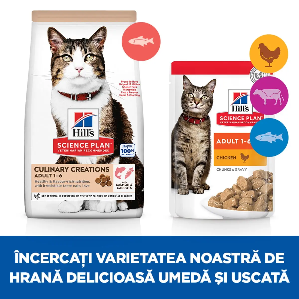 HILL'S Science Plan Culinary Creations, Somon si Morcov, hrana uscata pisici, 10kg - Image 5