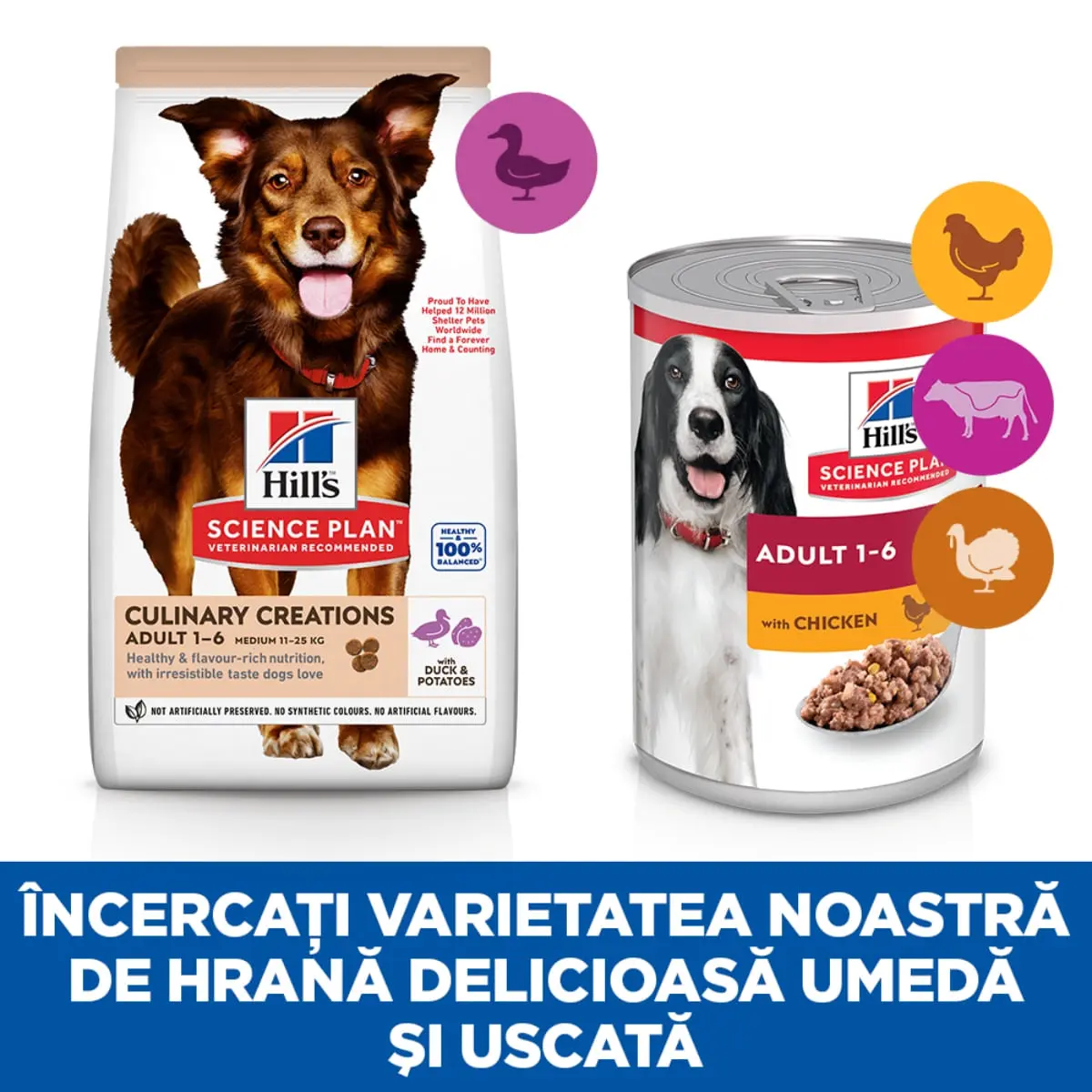 HILL'S Science Plan Culinary Creations, M, Rata si Cartof, hrana uscata caini, 2.5kg - Image 6