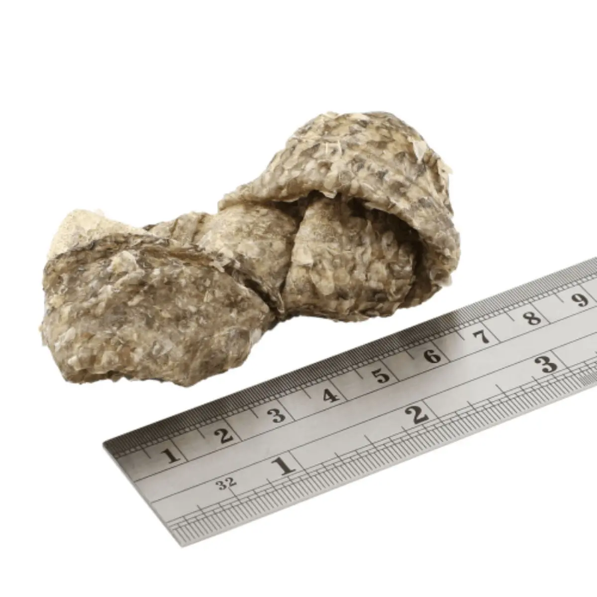 FISH4DOGS Dental Sea Jerky Fish Knots, XS-XL, Peste, punguta recompense fara cereale caini, deshidratat, 100g - Image 2