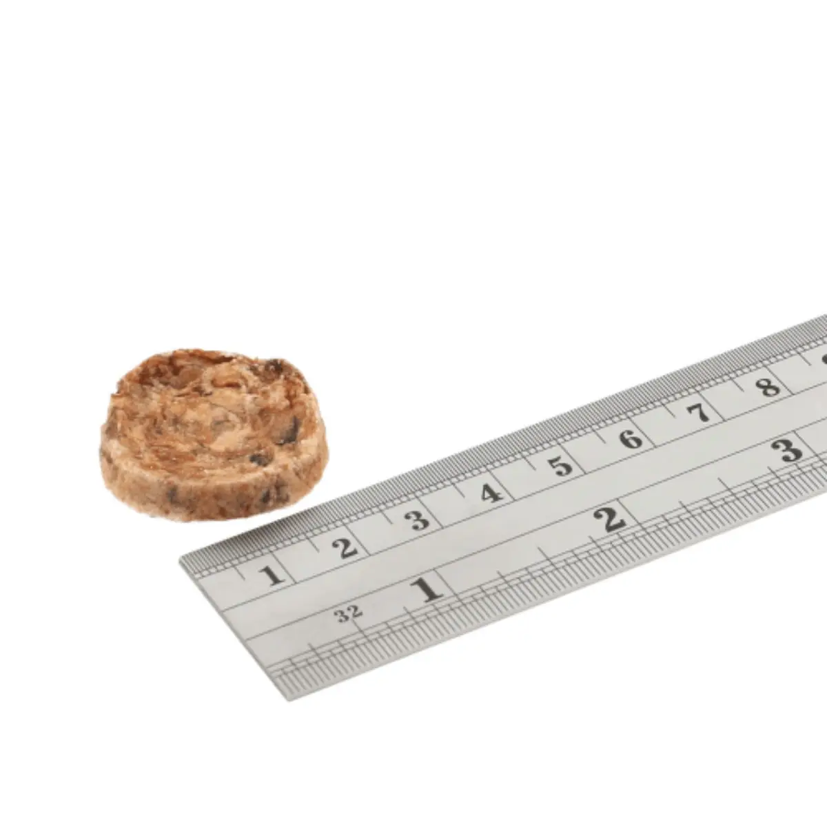 FISH4DOGS Love Squid Bites, XS-XL, Calamar, punguta recompense fara cereale caini, deshidratat, 80g - Image 2