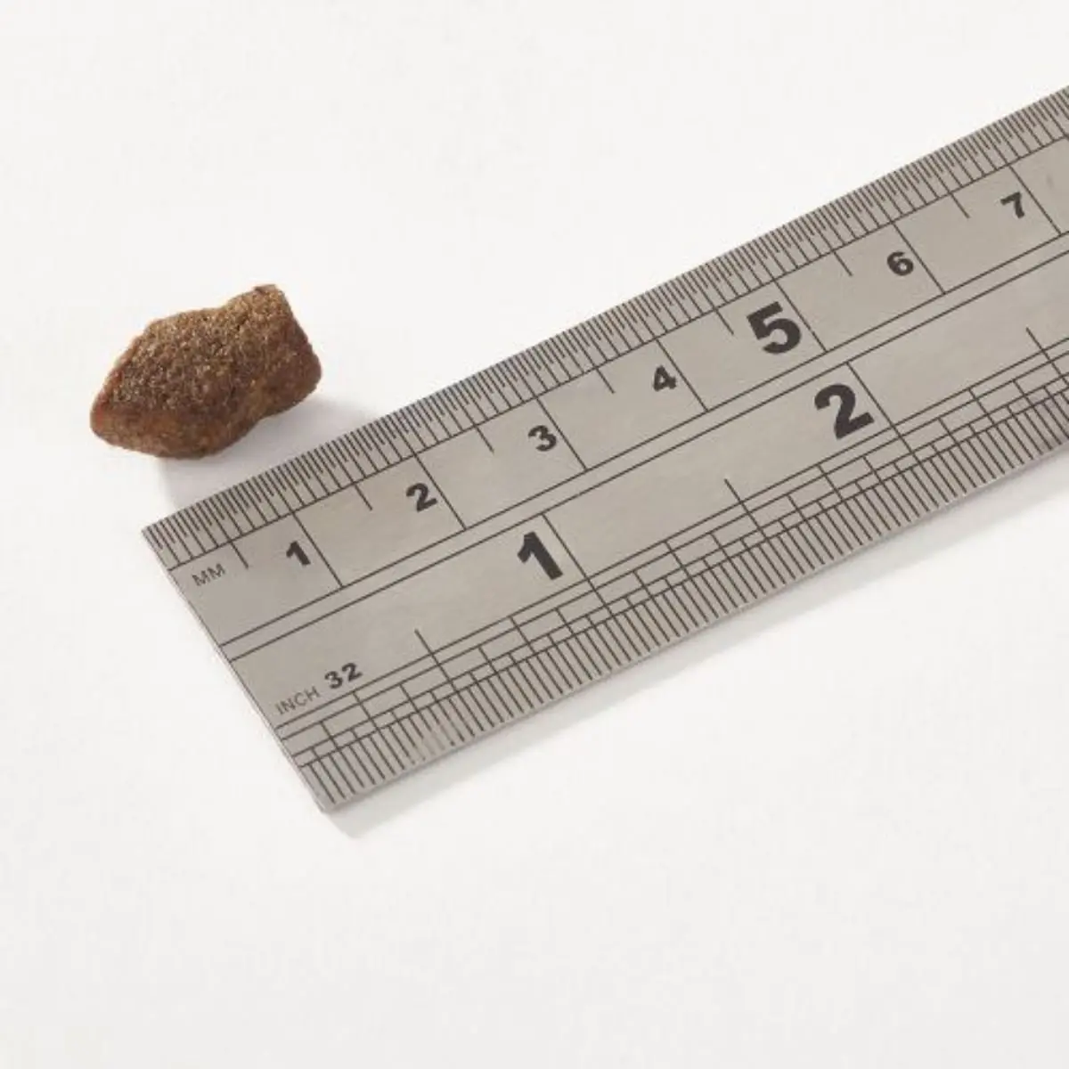 FISH4DOGS Support+ Puppy Joint Health, XS-XL, Somon, punguta recompense functionale fara cereale caini junior, sistem articular, 150g - Image 2