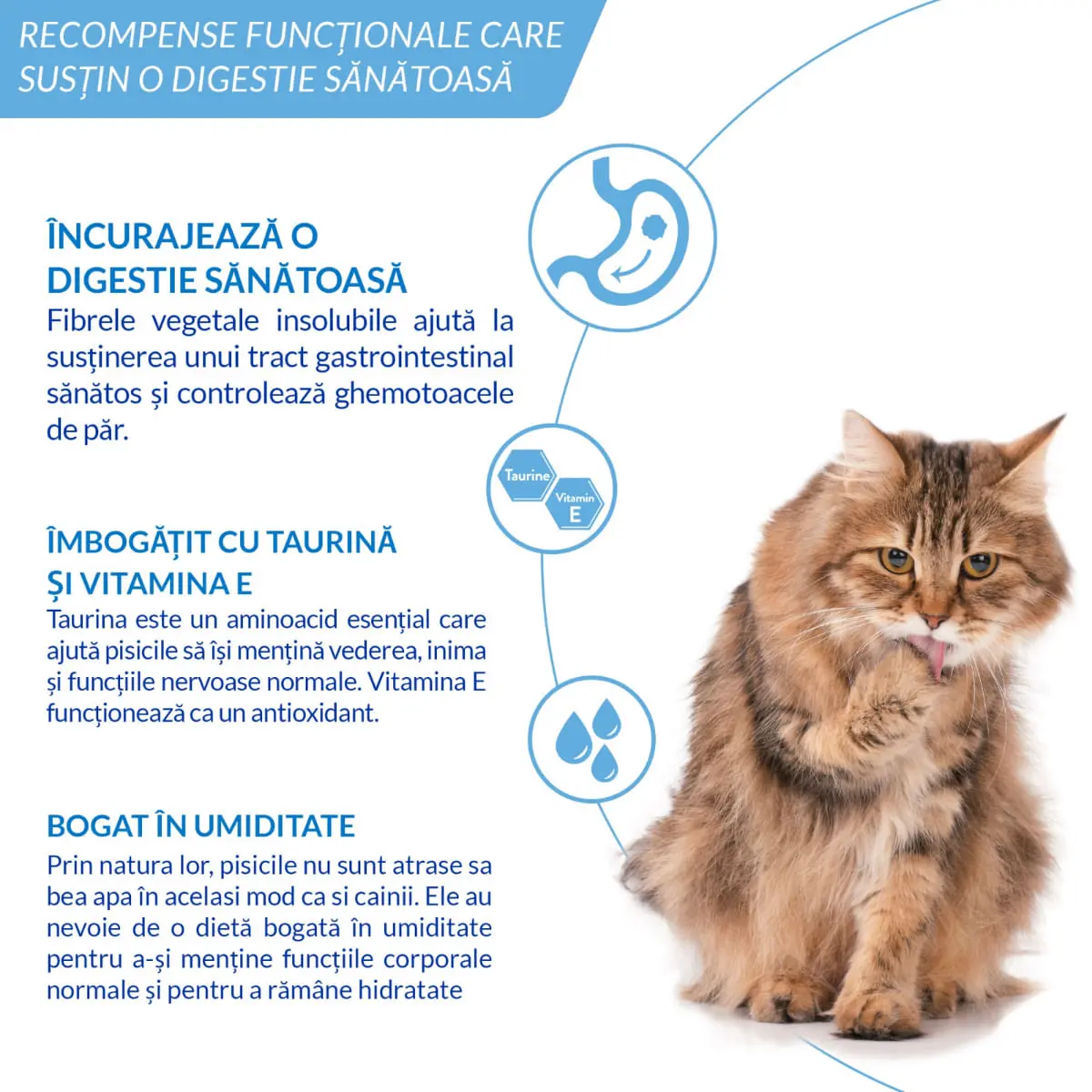 INABA Churu Hairball Control, Ton,, tub recompense fara cereale pisici, limitarea ghemurilor de blana, (piure) INABA Churu Hairball Control, Ton, plic, tub recompense fara cereale pisici, limitarea ghemurilor de blana, (piure), 56g - Image 6