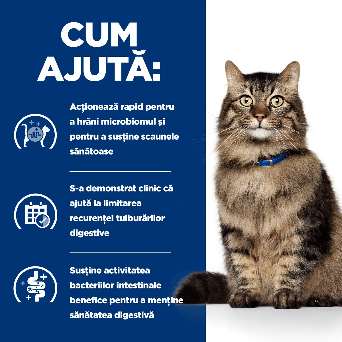 HILL'S Prescription Diet Gastrointestinal Biome Pui, dieta veterinara, plic hrana umeda pisici, sistem digestiv & probiotice, bax, 85g x 12buc - Image 2