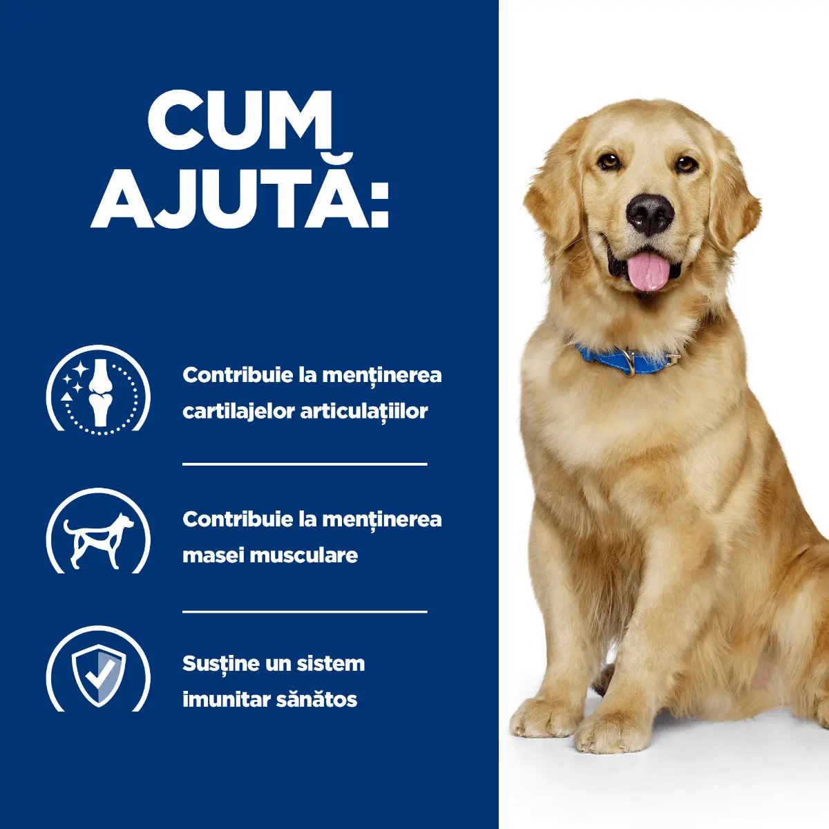 HILL'S Prescription Diet j/d Mobility, Pui, dieta veterinara caini, conserva hrana umeda, afectiuni articulare, 370g - Image 3
