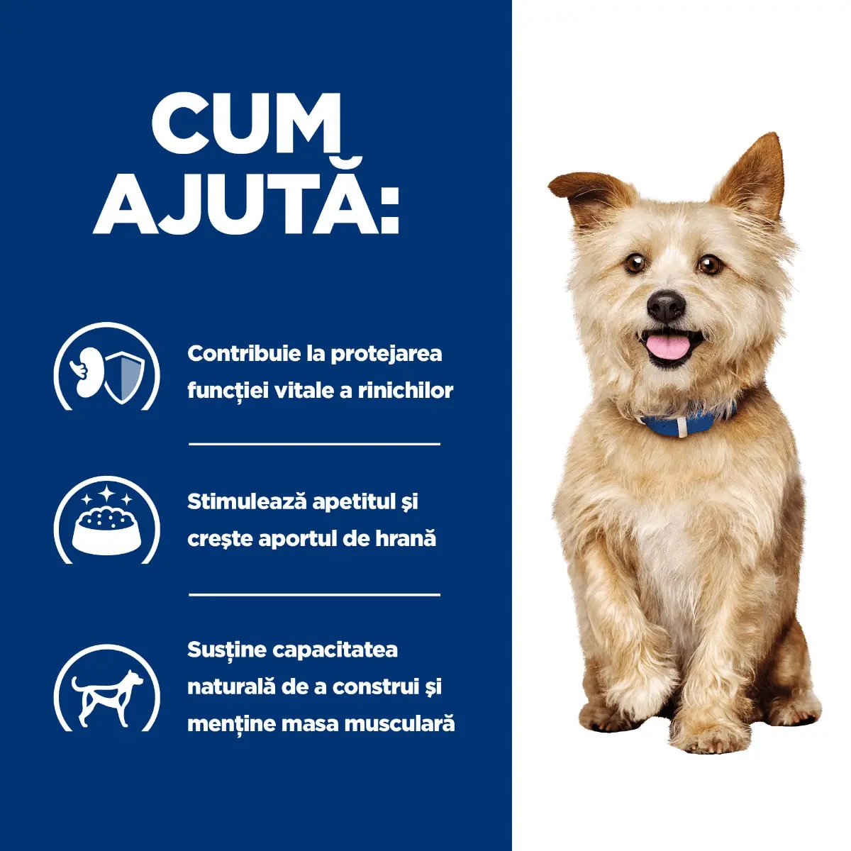 HILL'S Prescription Diet k/d Kidney Care, Pui cu Legume, dieta veterinara caini, conserva hrana umeda, afectiuni renale, 156g - Image 5