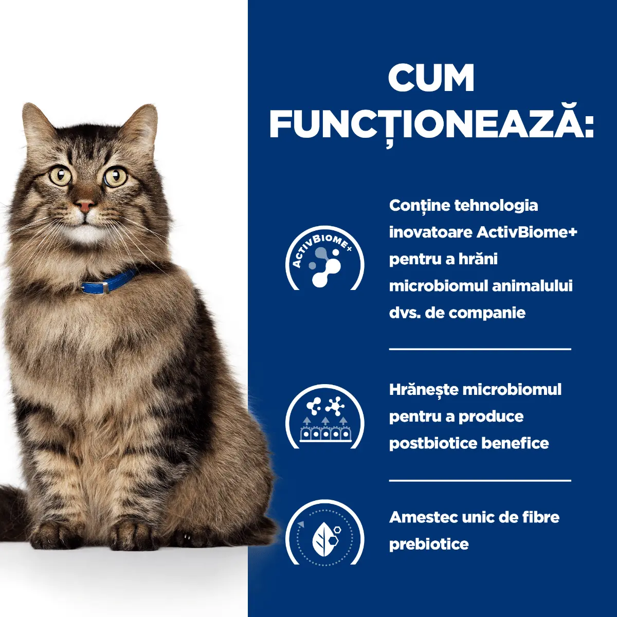 HILL'S Prescription Diet Gastrointestinal Biome Pui, dieta veterinara, plic hrana umeda pisici, sistem digestiv & probiotice, bax, 85g x 12buc - Image 5