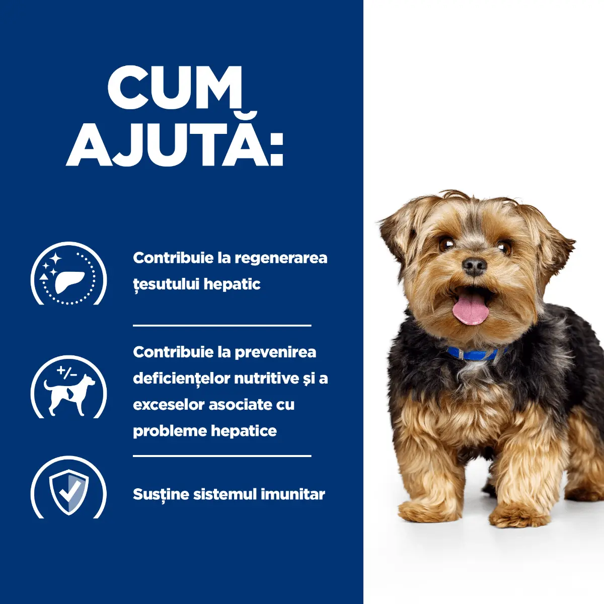 HILL'S Prescription Diet l/d, dieta veterinara caini, conserva hrana umeda, afectiuni hepatice, 370g - Image 7
