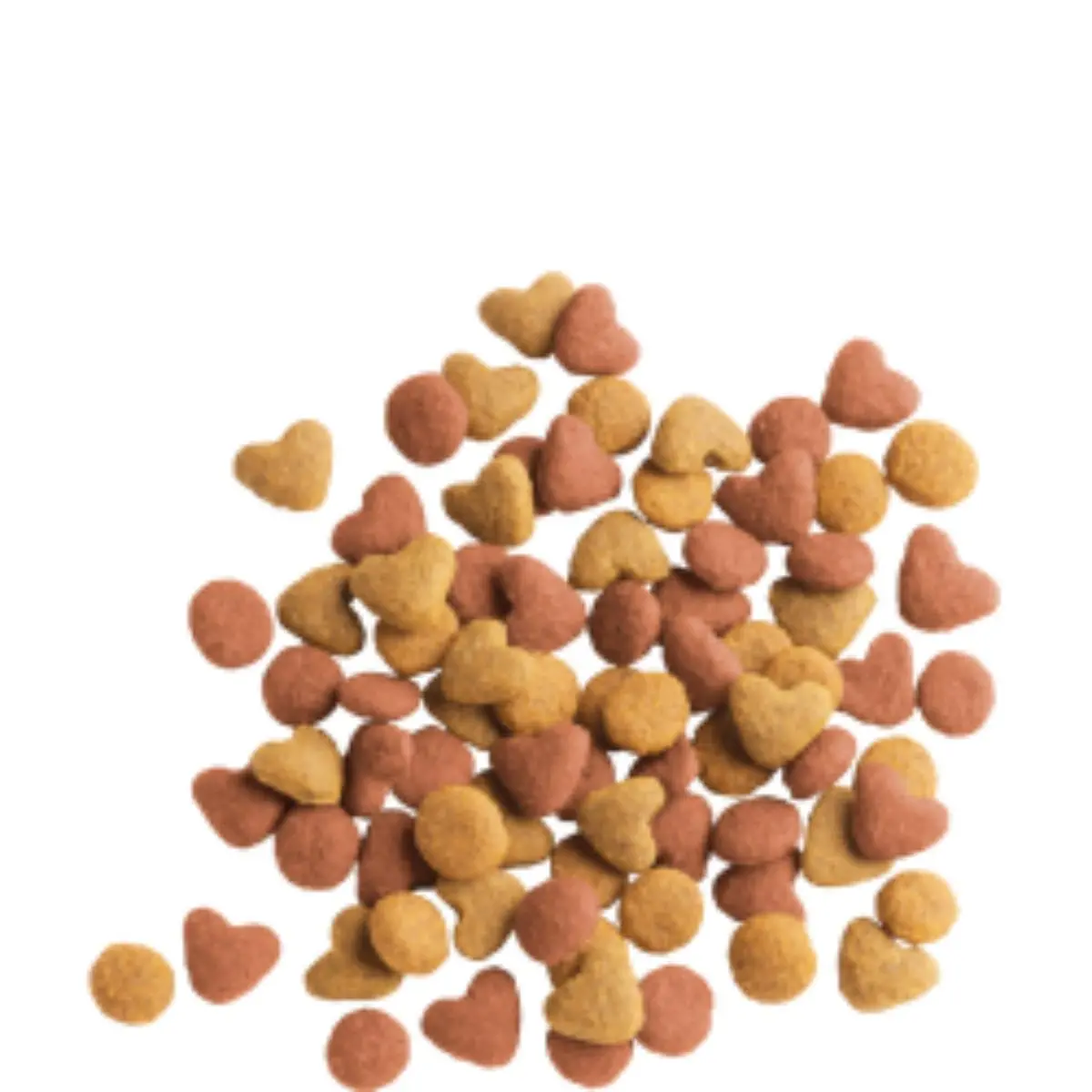 VERSELE LAGA Lara, Curcan si Pui, hrana uscata pisici, 350g - Image 2