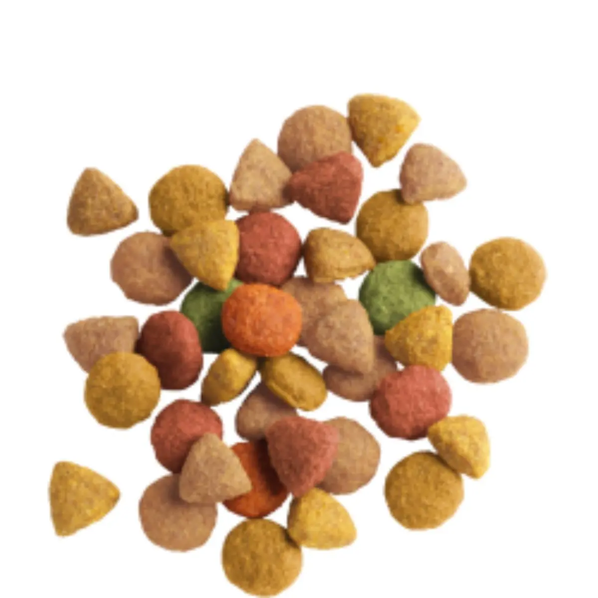 VERSELE LAGA Lara, Somon, hrana uscata pisici, 2kg - Image 2