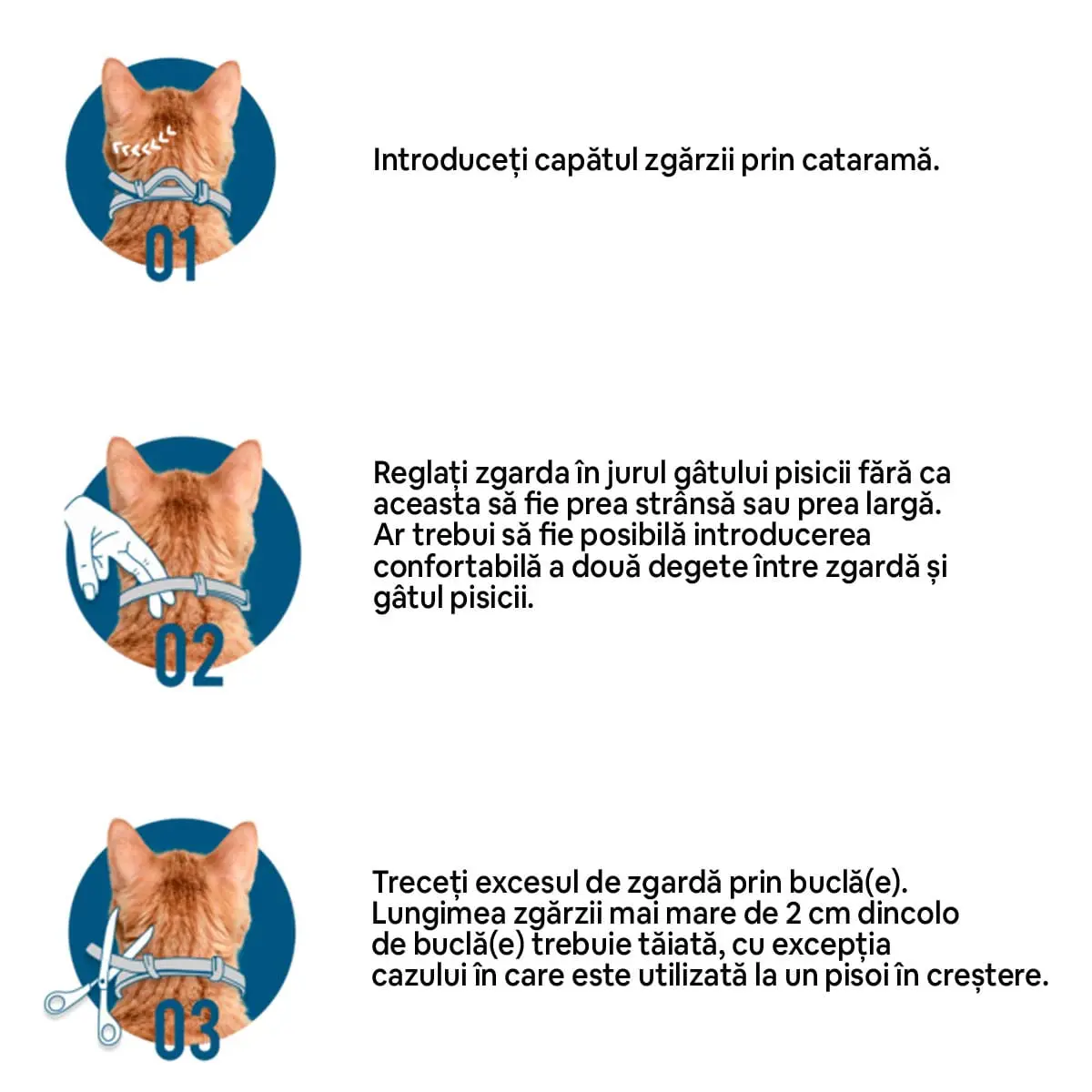 Foresto, deparazitare externa caini, zgarda Foresto, deparazitare externa caini si pisici, zgarda, XS - S, 38 cm, gri, 1buc - Image 4