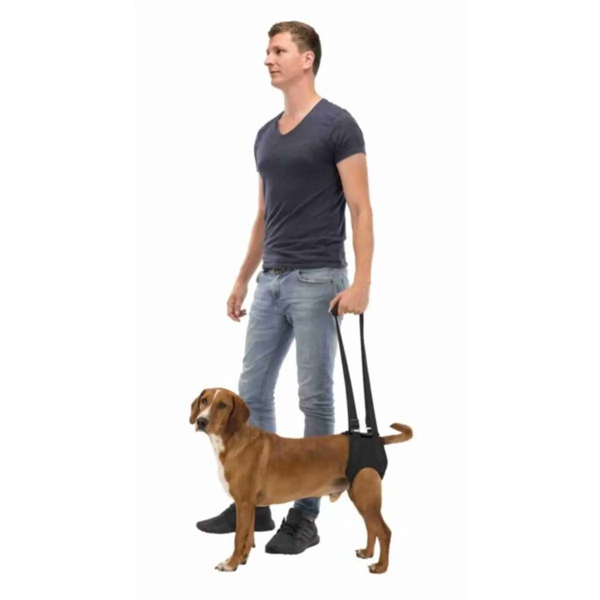 TRIXIE Walking Aid, ham reabilitare caini, neopren TRIXIE Walking Aid, M, ham reabilitare caini, neopren, ⌀ 55 - 65cm - Image 3