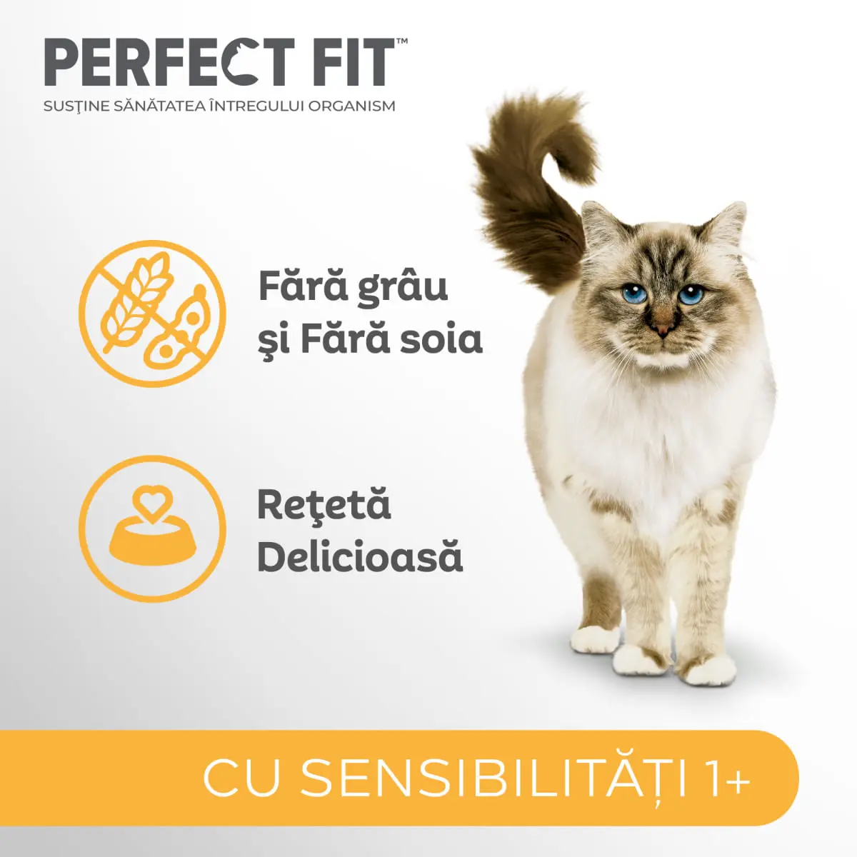 PERFECT FIT Cat Sensitive 1+, Curcan, hrana uscata pisici, sistem digestiv, 1.4kg - Image 5