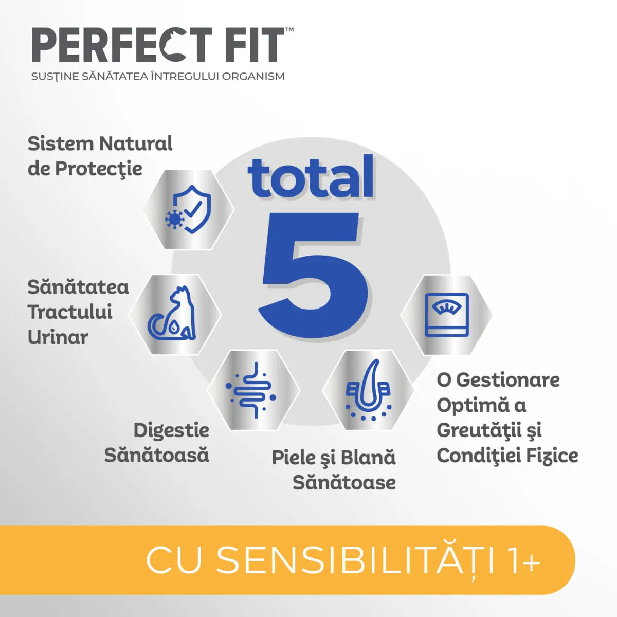 PERFECT FIT Cat Sensitive 1+, Curcan, hrana uscata pisici, sistem digestiv, 1.4kg - Image 6