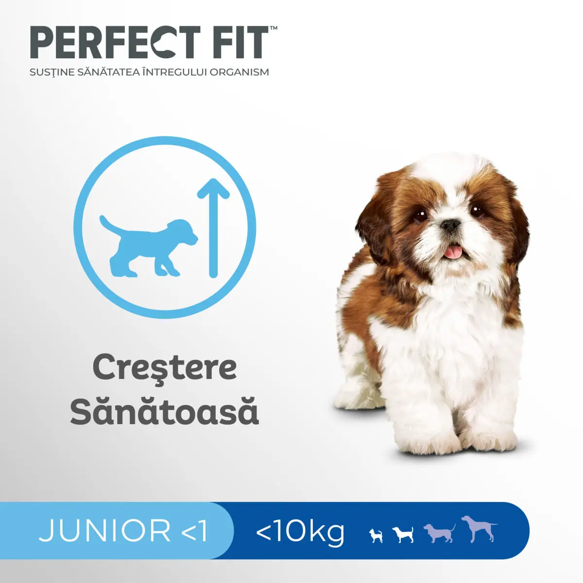 PERFECT FIT Dog Junior Small, XS-S, Pui, hrana uscata caini junior, 825g - Image 5
