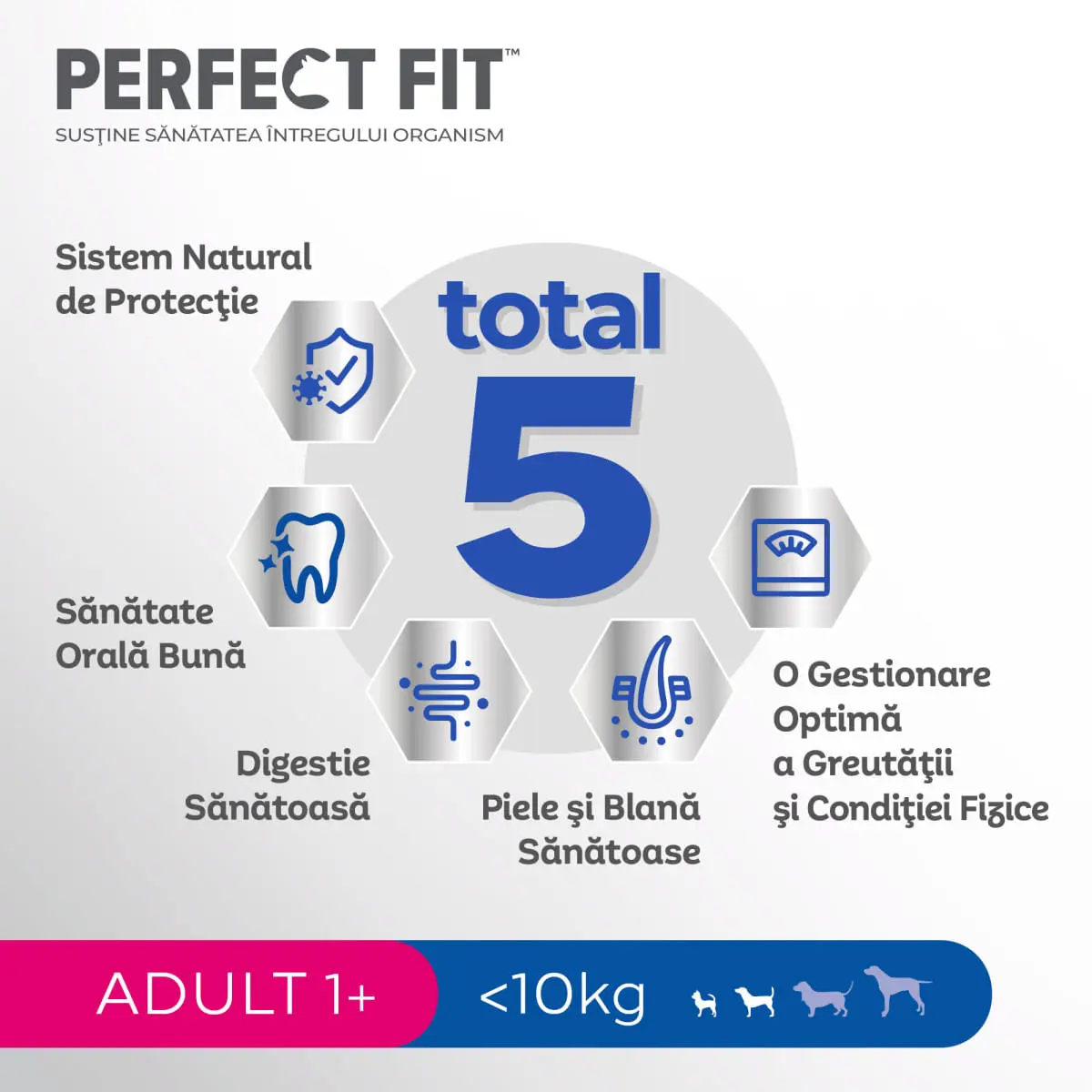 PERFECT FIT Dog Adult Small, XS-S, Pui, hrana uscata caini, 825g - Image 5