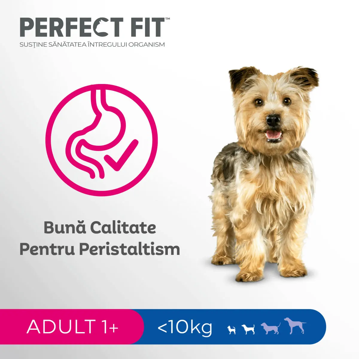 PERFECT FIT Dog Adult Small, XS-S, Pui, hrana uscata caini, 825g - Image 6