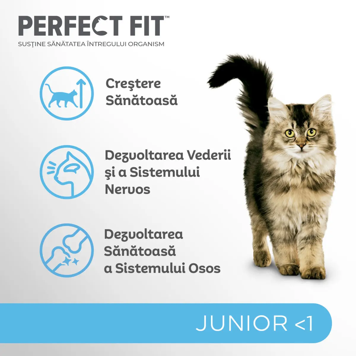 PERFECT FIT Kitten, Pui, hrana uscata pisici junior, 750g - Image 5