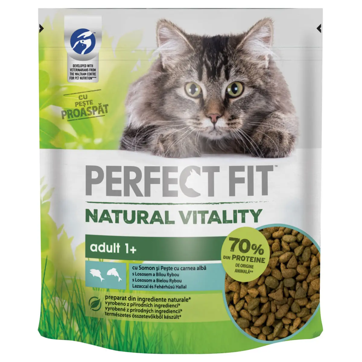 PERFECT FIT Natural Vitality, Somon si Peste alb, hrana uscata pisici, 650g