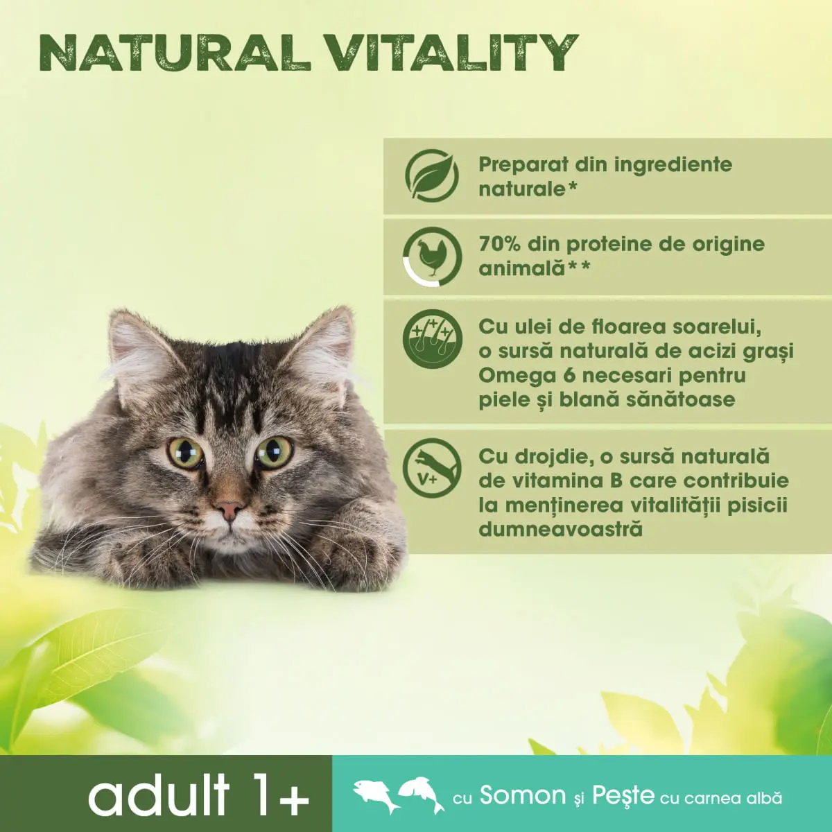 PERFECT FIT Natural Vitality, Somon si Peste alb, hrana uscata pisici, 650g - Image 5