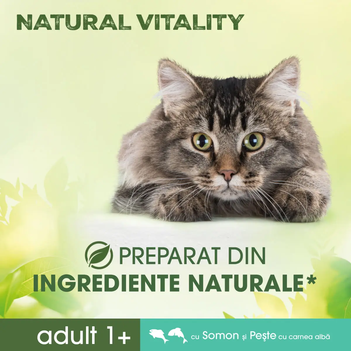 PERFECT FIT Natural Vitality, Somon si Peste alb, hrana uscata pisici, 650g - Image 6